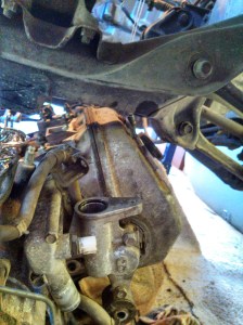 IMG_20141229_122959_773